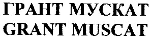 грант мускат