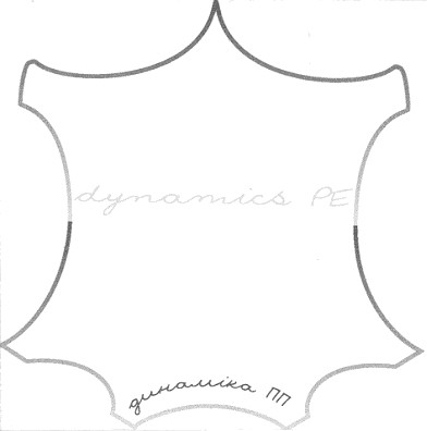 dynamics pe