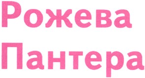 пантера