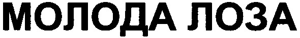 молода лоза