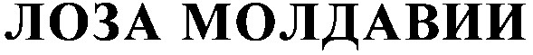 лоза молдавии