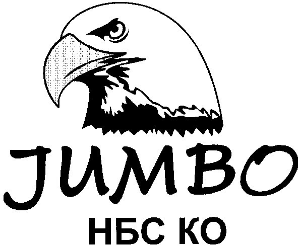нбс ko