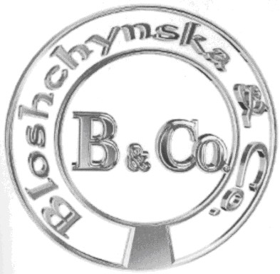 bloshchynska & co