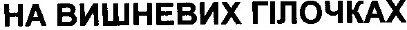 на вишневих гілочках