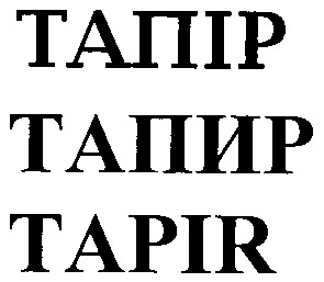 tapir