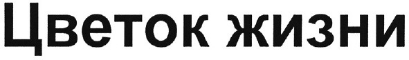 цветок жизни