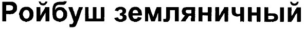 ройбуш земляничный
