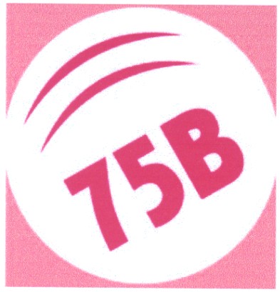 75 в