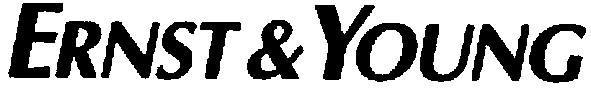 ernst & young