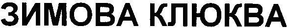 зимова клюква