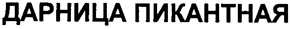 дарница пикантная