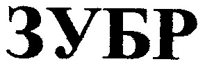 зубр