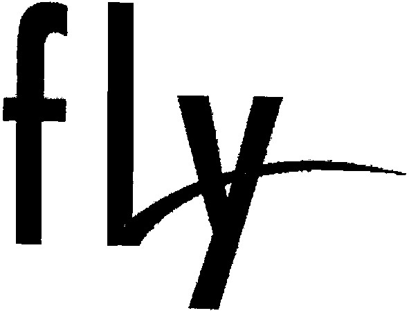 fly