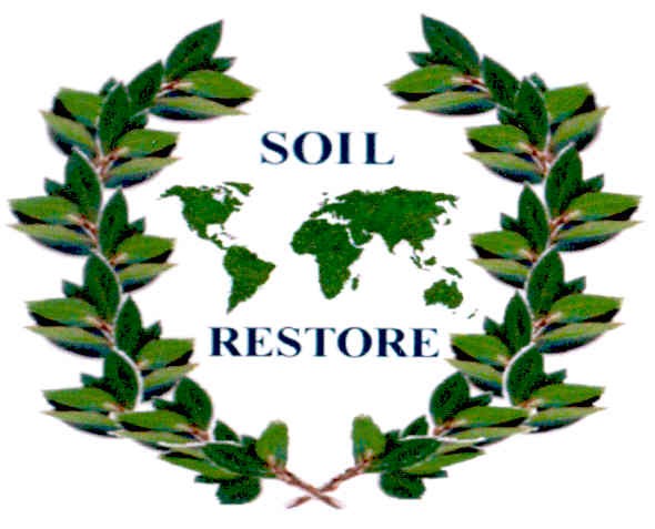 restore