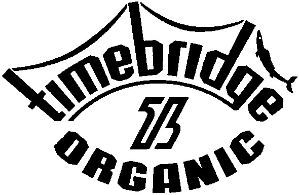 timebridge