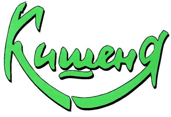 кишеня