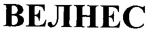 велнес