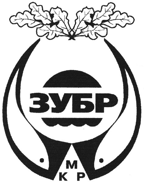 зубр