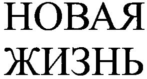 новая