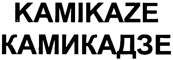 камикадзе