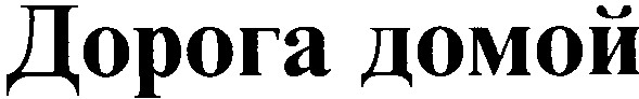 дорога домой