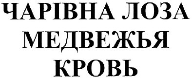 медвежья кровь
