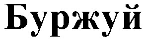 буржуй