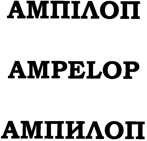 ампілоп
