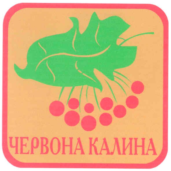 червона калина