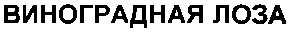 виноградная лоза