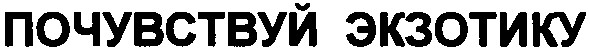 почувствуй экзотику