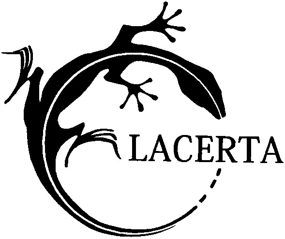lacerta