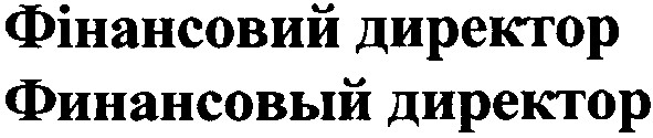 фінансовий директор