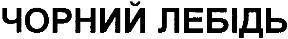 чорний лебідь