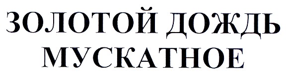 золотойдождь