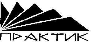 практик