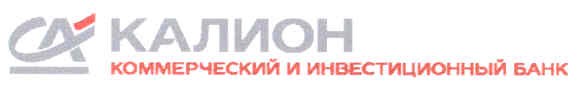 коммерческий и инвестиционный банк