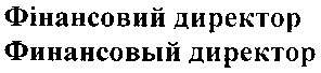 финансовый директор