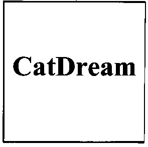 cat dream