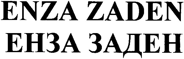 enza zaden