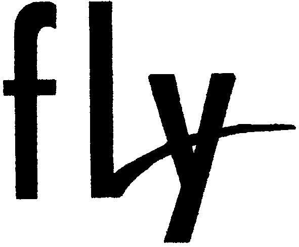 fly