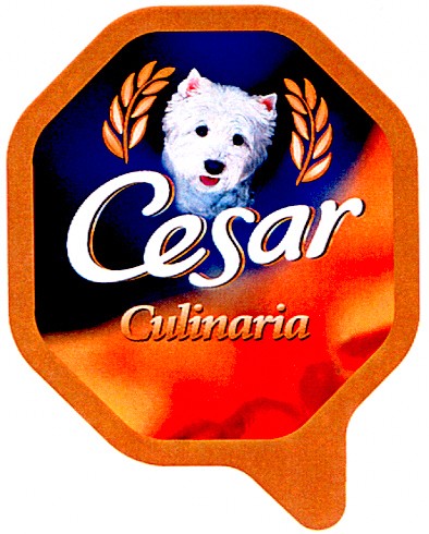 culinaria