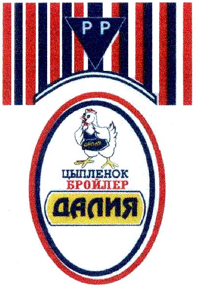 цыпленок