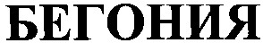 бегония