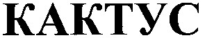кактус