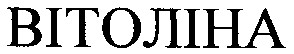 вітоліна