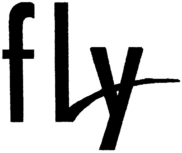 fly