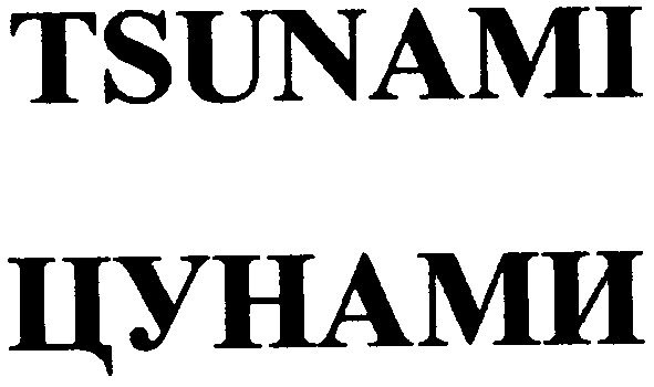 tsunami