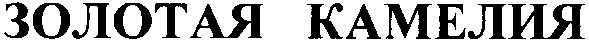 золотая камелия