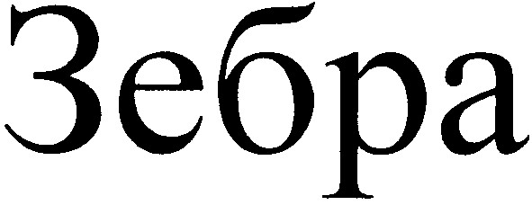 зебра